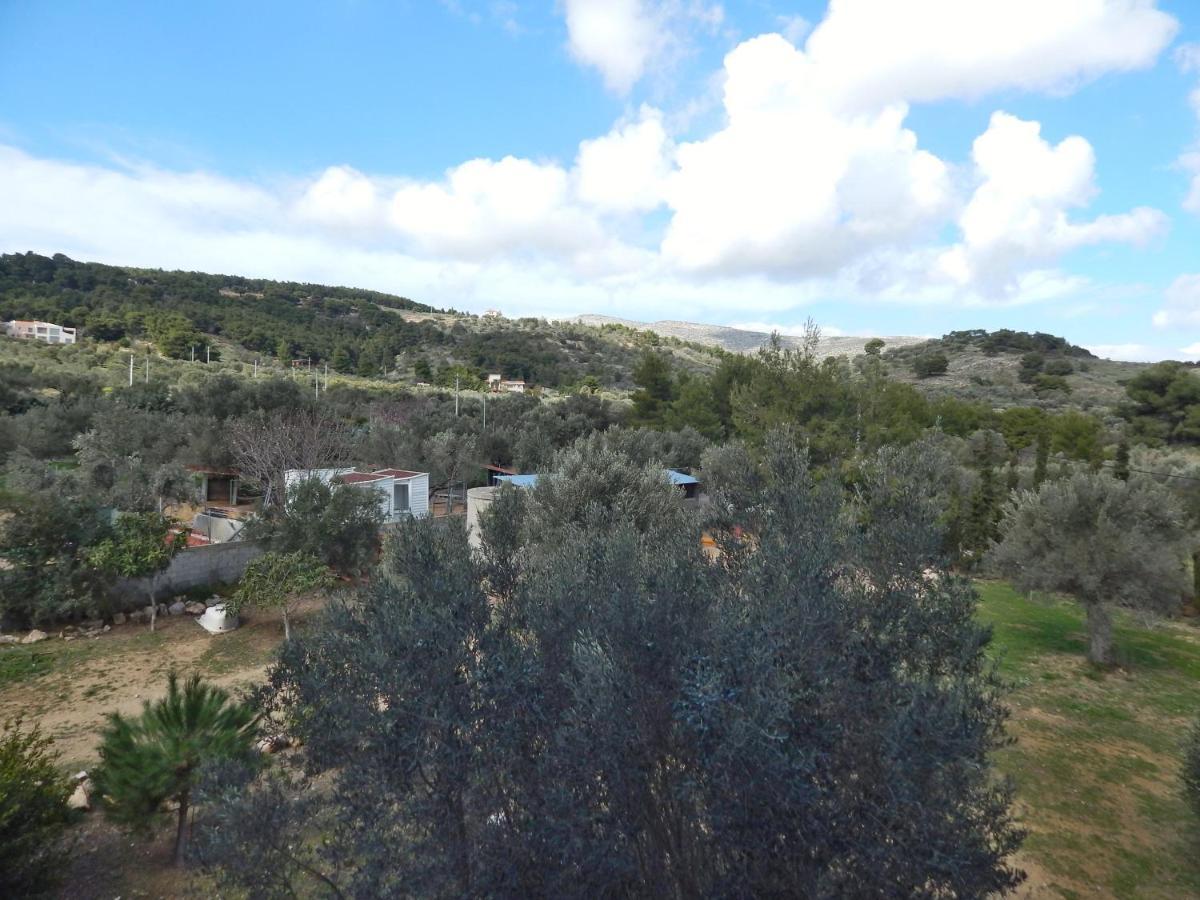 Keratea Οδυσσεια, Κοντά Σε Αεροδρόμιο, Λιμάνια Και Θάλασσες 아파트 외부 사진
