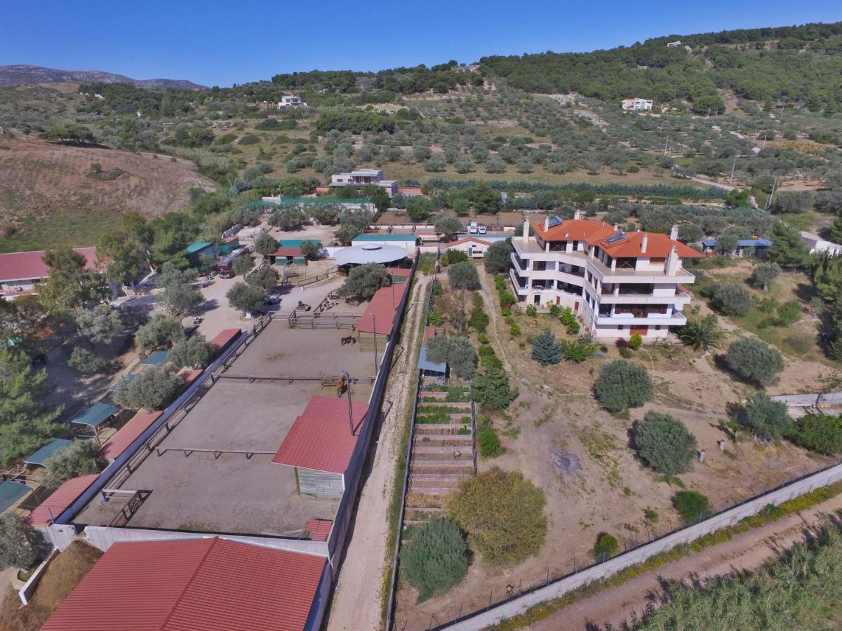 Keratea Οδυσσεια, Κοντά Σε Αεροδρόμιο, Λιμάνια Και Θάλασσες 아파트 외부 사진