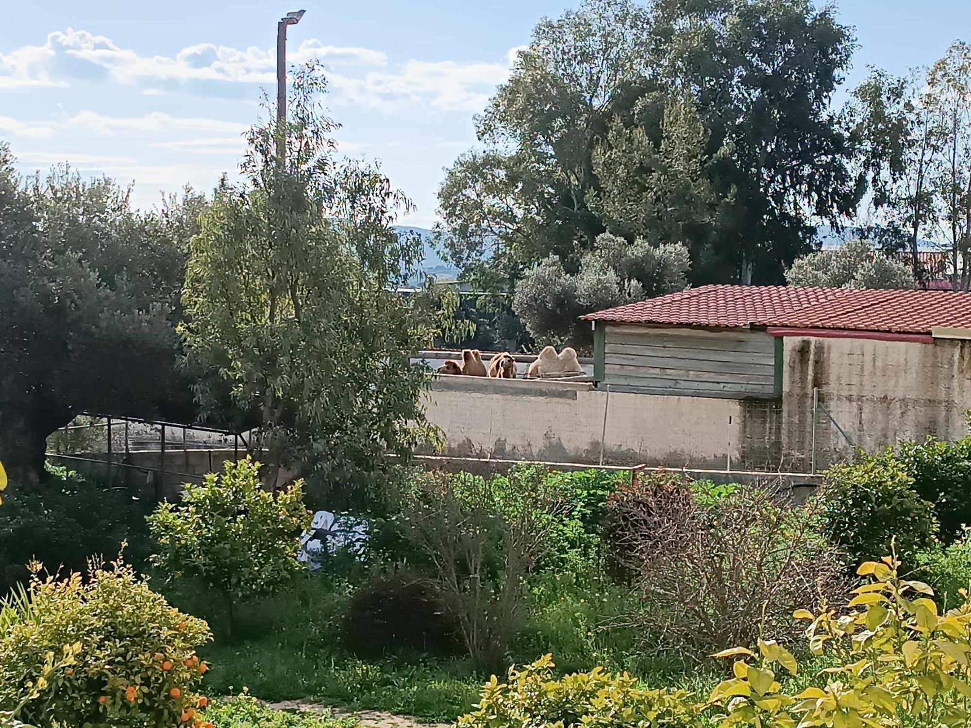 Keratea Οδυσσεια, Κοντά Σε Αεροδρόμιο, Λιμάνια Και Θάλασσες 아파트 외부 사진